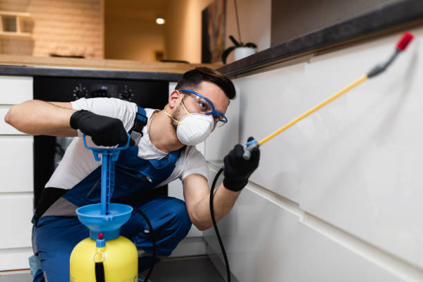 Best Local Pest Control Services  in Shrewsbury, NJ