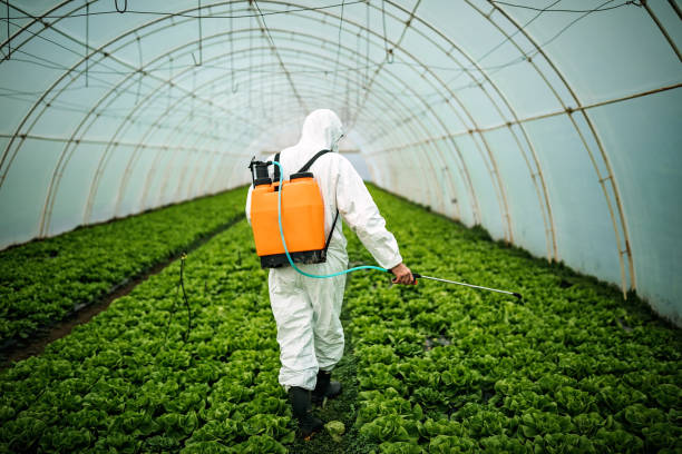 Best Best Pest Control Companies  in Shrewsbury, NJ