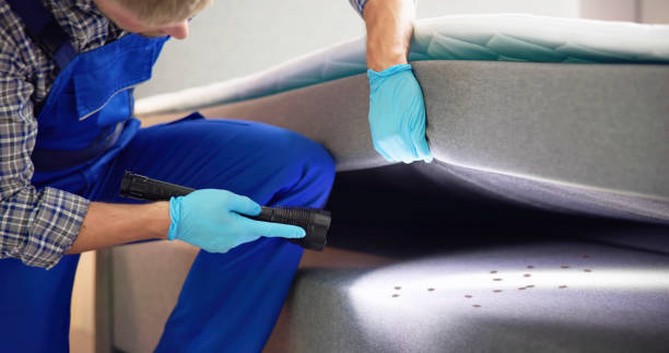 Best Wasp Removal Services  in Shrewsbury, NJ
